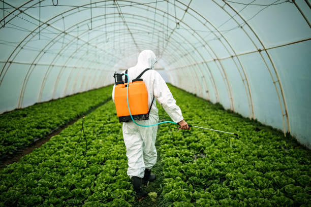 Best Local Pest Control Services  in Stateburg, SC