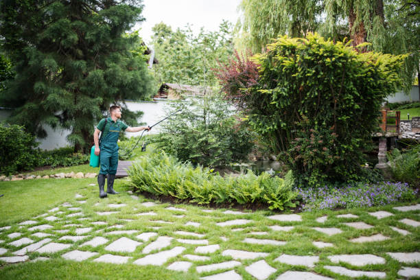 Best Affordable Pest Control Services  in Stateburg, SC