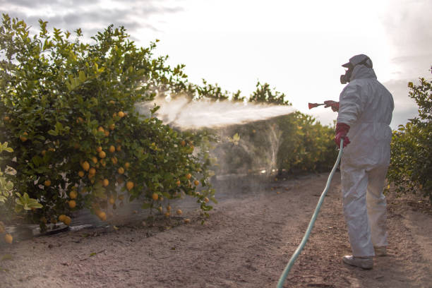 Best Affordable Pest Control Services  in Stateburg, SC
