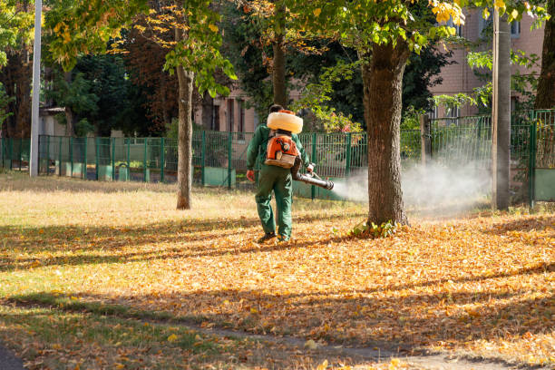 Best Flea Control Services  in Stateburg, SC