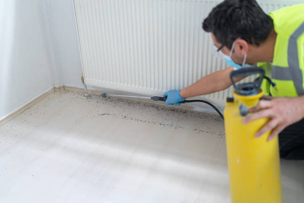 Best Pest Inspection Near Me  in Stateburg, SC