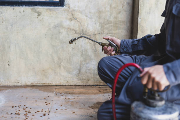 Best Pest Control Near Me  in Stateburg, SC